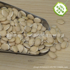 批发供应 中药材 白扁豆 农家扁豆   量大从优