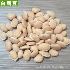 批发白扁豆 农家扁豆 药食同源 提供大货
