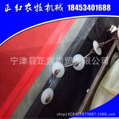 中华老字号 东阿阿胶桃花姬阿胶糕300g
