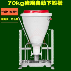 中华老字号 东阿阿胶桃花姬阿胶糕300g