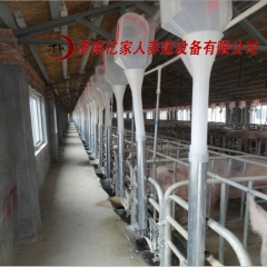 中华老字号 东阿阿胶桃花姬阿胶糕300g