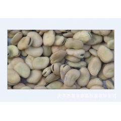 厂家批发供应高品质各种规格优质蚕豆 机选蚕豆 小扁豆 欢迎订...