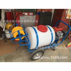 中华老字号 东阿阿胶桃花姬阿胶糕300g