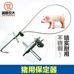 中华老字号 东阿阿胶桃花姬阿胶糕300g