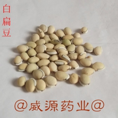 批发中药材白扁豆 农家扁豆 长寿粥原料 量大从优
