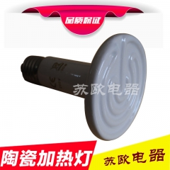 定制陶瓷加热灯 汗蒸加热灯 远红外宠物加热灯 养殖保温灯