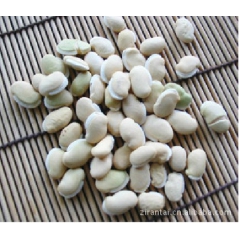 白扁豆 精品中药材 大豆子白扁豆粥、
