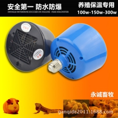 中华老字号 东阿阿胶桃花姬阿胶糕300g