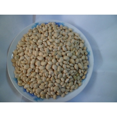 白扁豆 精品中药材 大粒白扁豆