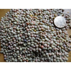 供应新药用小扁豆 五谷杂粮批发药食同源