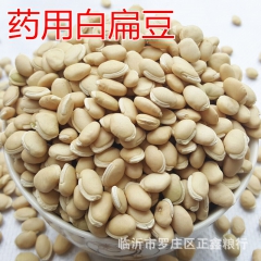 批发优质 白扁豆 健康粗粮扁豆 无杂质五谷杂粮