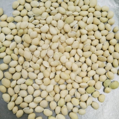 白扁豆 厂家直销药食同源南扁豆 传统滋补品散装白藊豆现货批发