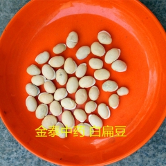 供应中药材 优质 白扁豆  健脾化湿 和中消暑 批发零售 量...
