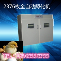 中华老字号 东阿阿胶桃花姬阿胶糕300g