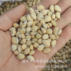 供应药食同源 精选优质白扁豆 厂家直销 干净无杂 质量保证