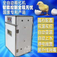 中华老字号 东阿阿胶桃花姬阿胶糕300g
