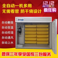 中华老字号 东阿阿胶桃花姬阿胶糕300g
