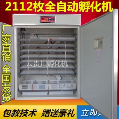 中华老字号 东阿阿胶桃花姬阿胶糕300g