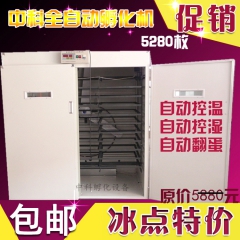 中华老字号 东阿阿胶桃花姬阿胶糕300g
