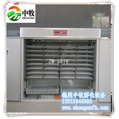 中华老字号 东阿阿胶桃花姬阿胶糕300g