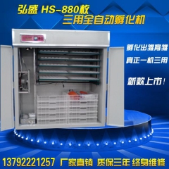中华老字号 东阿阿胶桃花姬阿胶糕300g