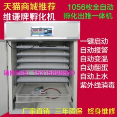 中华老字号 东阿阿胶桃花姬阿胶糕300g