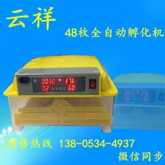 中华老字号 东阿阿胶桃花姬阿胶糕300g