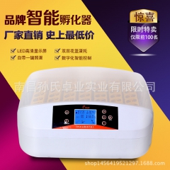 中华老字号 东阿阿胶桃花姬阿胶糕300g