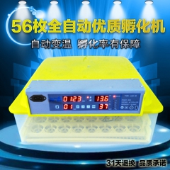 中华老字号 东阿阿胶桃花姬阿胶糕300g