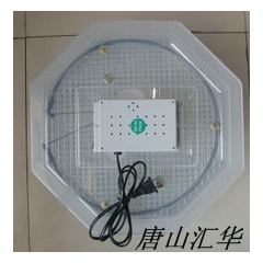 豪华小型孵化机，，孵化设备，小型孵化机