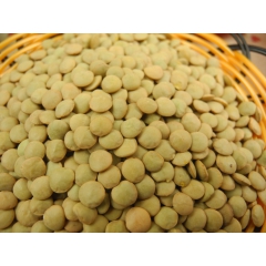 土耳其进口意德ideal green lentil绿扁豆10...