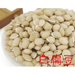 批发供应纯无硫扁豆中药材 药膳同源白扁豆 量大从优