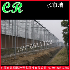 中华老字号 东阿阿胶桃花姬阿胶糕300g