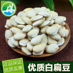 陇参  特级炒扁豆/炒白扁豆 制扁豆 正品优质实惠 50克