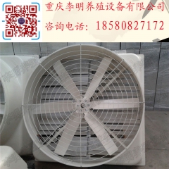 中华老字号 东阿阿胶桃花姬阿胶糕300g
