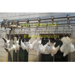 中华老字号 东阿阿胶桃花姬阿胶糕300g