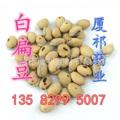 【厦祁药业】中药材 白扁豆 炒白扁豆 药食两用 干净无杂