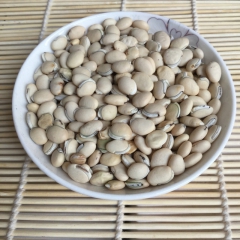 批发白扁豆 中药材白扁豆