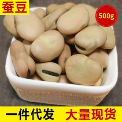 生态种植生蚕豆批发 豆瓣酱兰花豆专用小蚕豆 颗粒饱满味道浓郁