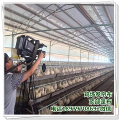 中华老字号 东阿阿胶桃花姬阿胶糕300g
