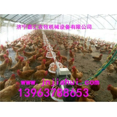中华老字号 东阿阿胶桃花姬阿胶糕300g