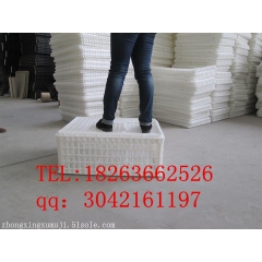 中华老字号 东阿阿胶桃花姬阿胶糕300g