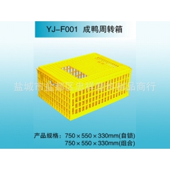 中华老字号 东阿阿胶桃花姬阿胶糕300g