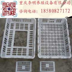 中华老字号 东阿阿胶桃花姬阿胶糕300g