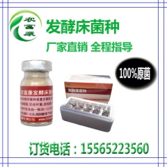 中华老字号 东阿阿胶桃花姬阿胶糕300g
