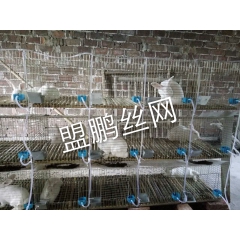中华老字号 东阿阿胶桃花姬阿胶糕300g