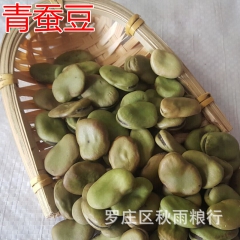 批发蚕豆农家自产 产地直销量大优惠青皮蚕豆五谷杂粮