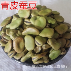 热销农家青蚕豆产地直销 炒货原料蚕豆五谷杂粮量大优惠
