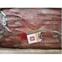 饱满印尼红鱿鱼，印尼鱿鱼。笔管，长寿鱼，马面鱼一手价格，货优