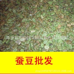 饲料蚕豆批发 江苏产地供应生蚕豆货源 食品饮料干蚕豆类